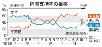 選挙にSNS「懸念」85％