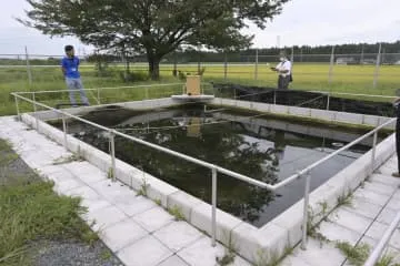 水道局がマス養殖、水質PR狙う