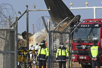 務安空港、鳥衝突の発生率が最大