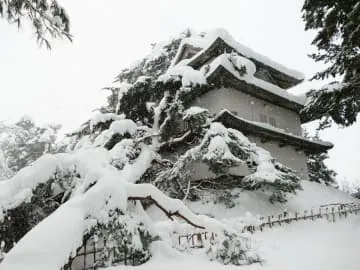 雪で倒木直撃、重文破損