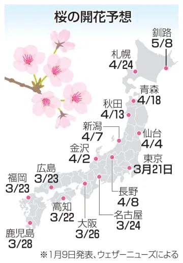 桜、東京から開花の予想