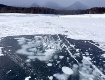 凍る湖に神秘の気泡