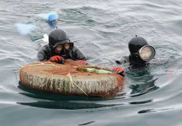 海女と鵜飼い、無形文化遺産に