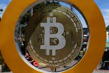 外貨準備にビットコイン検討