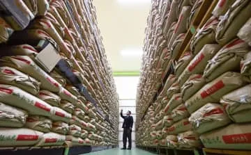 備蓄米2万トン、大倉庫に