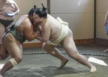 新関脇の王鵬「ちゃんとやれた」