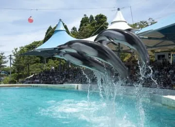 のとじま水族館全面再開へ