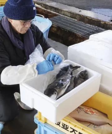 能登から魚空輸し東京都内で販売