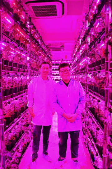 先端技術を駆使、採れたて野菜は工場産