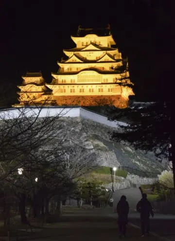 世界遺産姫路城、ミモザの花色に