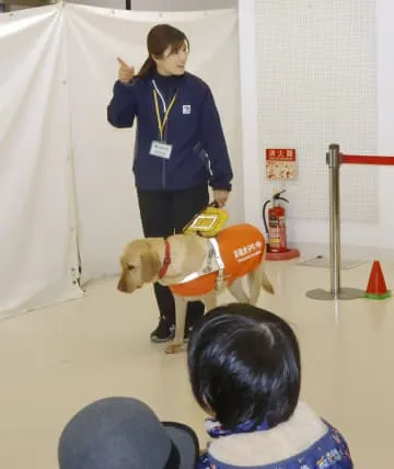 盲導犬ユーザー「受け入れる」回答は半数