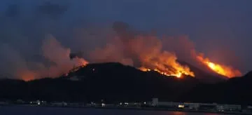 岡山、愛媛で山林火災