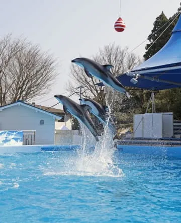 のとじま水族館が全面再開