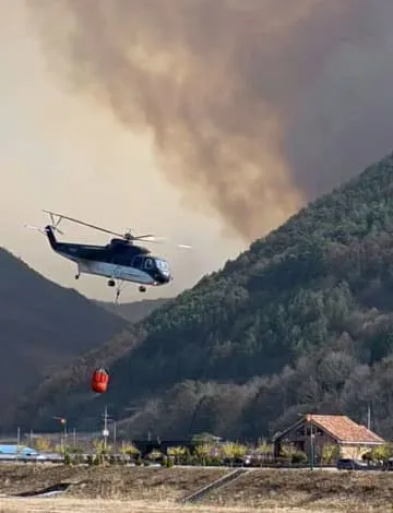 韓国で山林火災、死者も