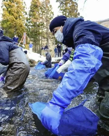 大寒の沢にソバの実浸す、山形