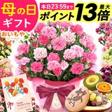 ＼まもなく終了★ポイント13倍／ 母の日 まだ間に合う プレゼント 2026 花 生花 カーネーション 鉢植え 5号 バンビー…