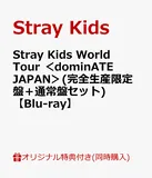 【楽天ブックス限定同時購入特典】【クレジットカード決済限定】Stray Kids World Tour ＜dominATE JAPAN＞(完全生産…