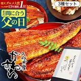 ＼クーポン配布中／ 父の日 まだ間に合う ギフト うなぎ 国産 かわすい 冷凍 うなぎ蒲焼き 3種セット ウナギ 鰻 蒲焼…